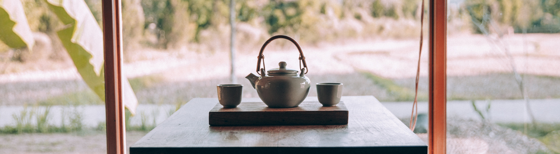 傳丰堂普洱茶葉