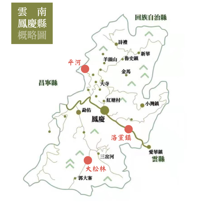 雲南鳳慶縣茶園
