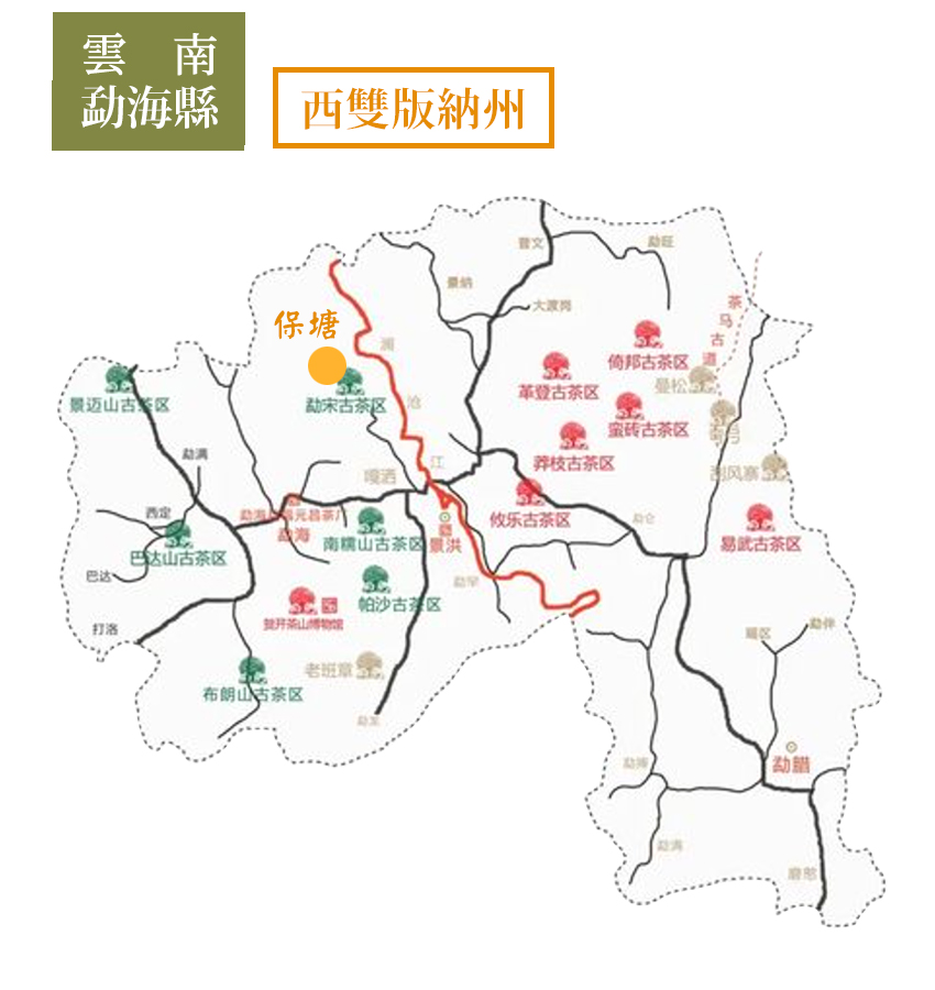 雲南勐海縣茶園